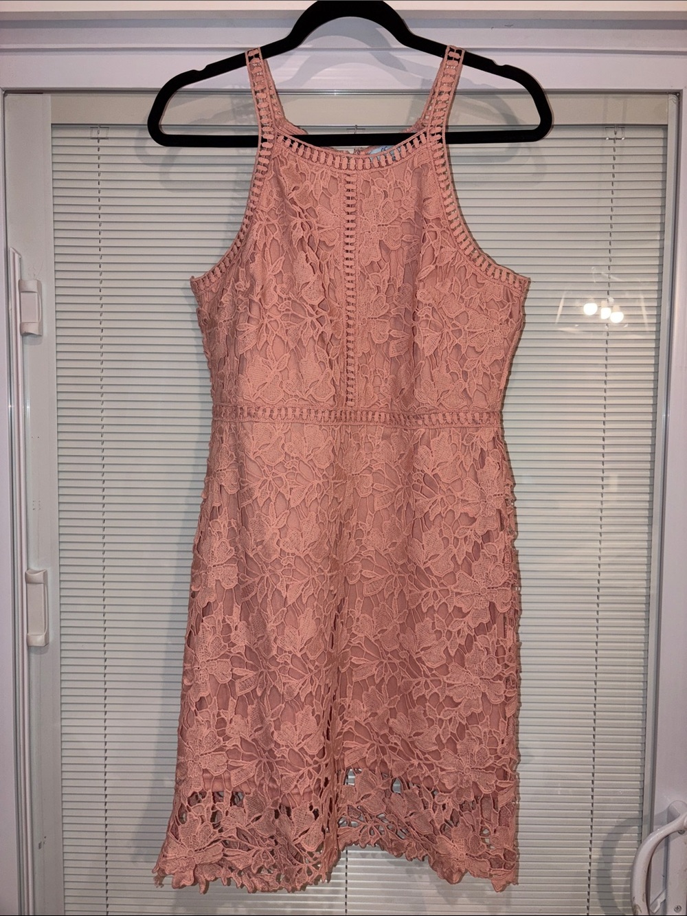 She + Sky Pink Floral Lace Dress Size Large
